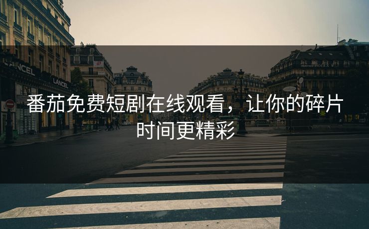 番茄免费短剧在线观看，让你的碎片时间更精彩